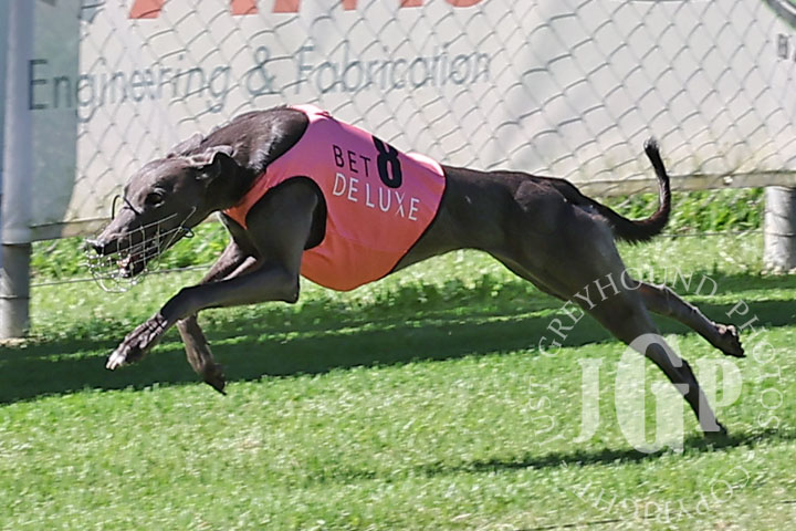 Cashed-Up-Rhi-1-120426-capweb