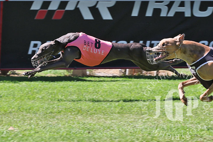 Cashed-Up-Rhi-3-120426-capweb