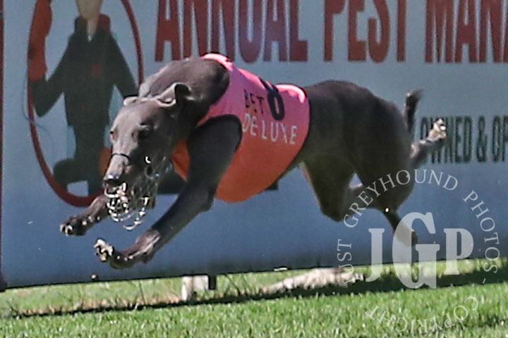 Cashed-Up-Rhi-4-120426-capweb