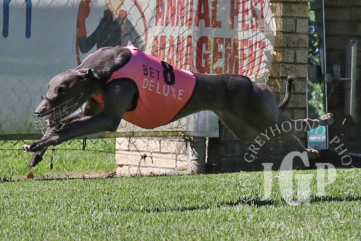 Cashed-Up-Rhi-5-120426-capweb