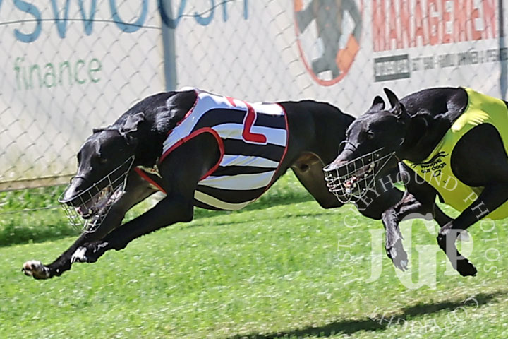 Hello-Gemini-1-120426-capweb