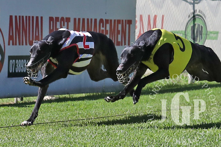 Hello-Gemini-6-120426-capweb