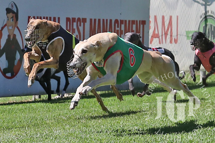 Myona-Countess-4-120426-capweb