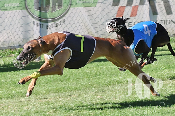 Oscar-Bravo-1-120426-capweb