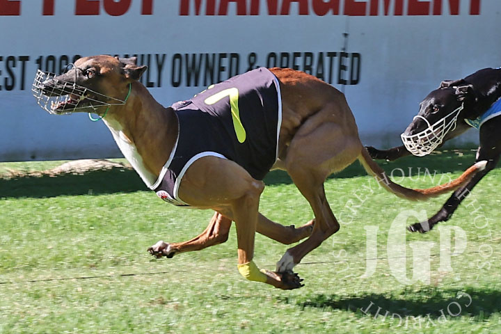 Oscar-Bravo-3-120426-capweb