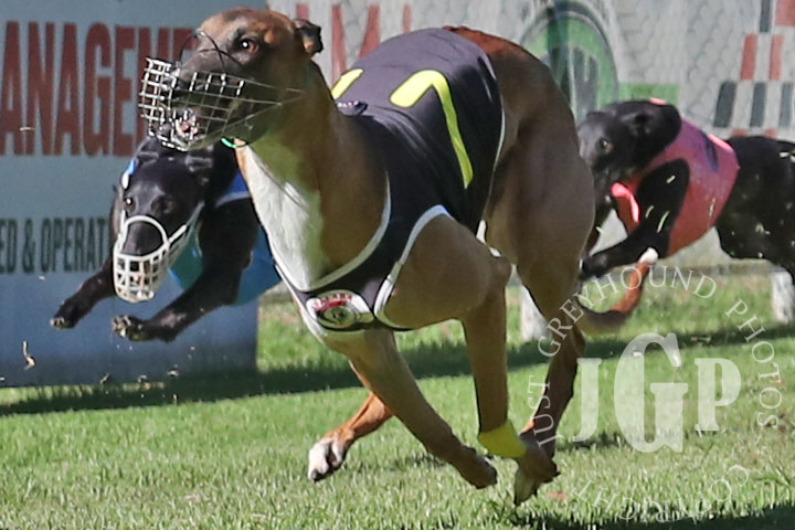 Oscar-Bravo-6-120426-capweb