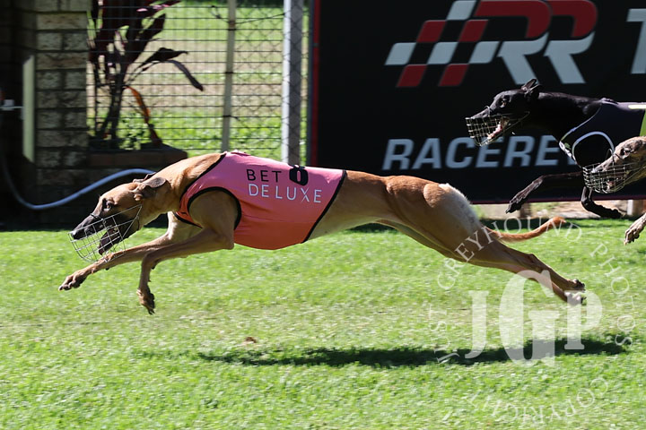 Rolling-Royalty-3-120426-capweb