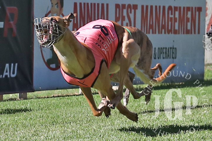 Rolling-Royalty-4-120426-capweb