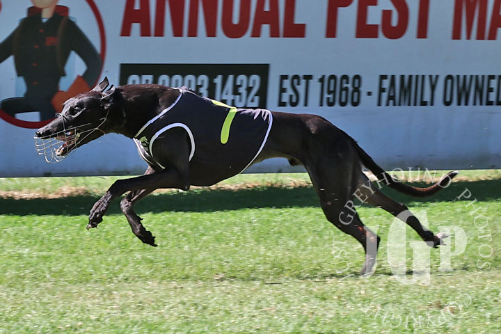 Rupesh-3-120426-capweb