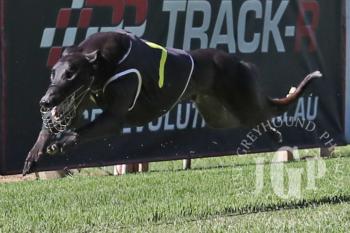 Rupesh-4-120426-capweb