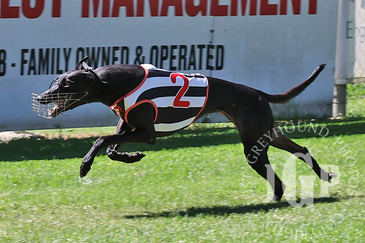 Typhoon-Saskia-2-120426-capweb