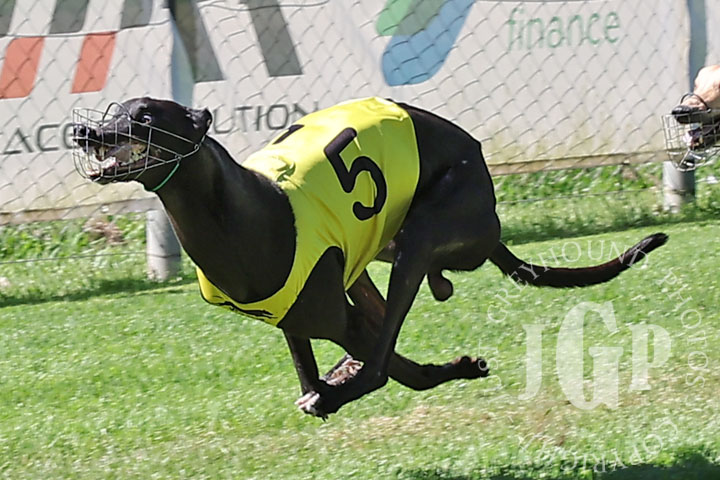 Zipping-Kimeli-1-120426-capweb