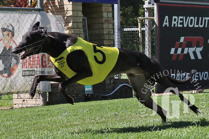 Zipping-Kimeli-5-120426-capweb